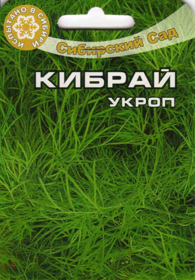 Коли і як правильно садити (сіяти) кріп, щоб отримати добрий урожай