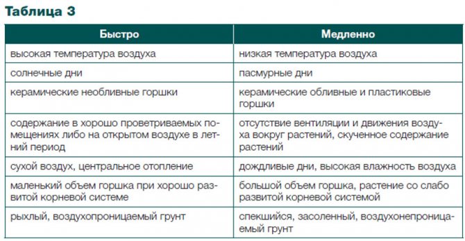 Як доглядати кімнатні квіти взимку? Підживлення, полив та інші правила