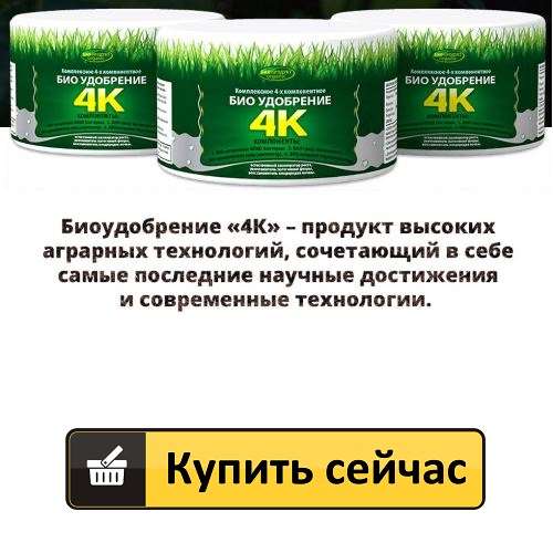 8 способів використання в побуті апельсинових кірок