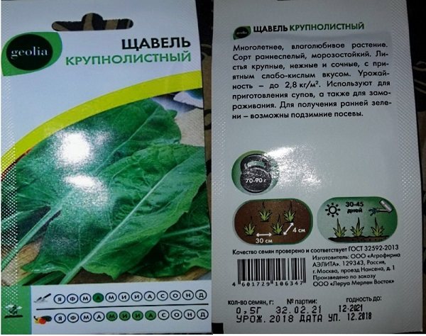 Осінні турботи на дачі - Підзимова посадка щавлю