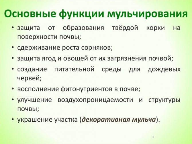 ТОП 10 кращих гербіцидів або коштів від бур'янів і трави